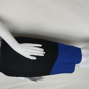 BCBG Maxazria color block bandage skirt